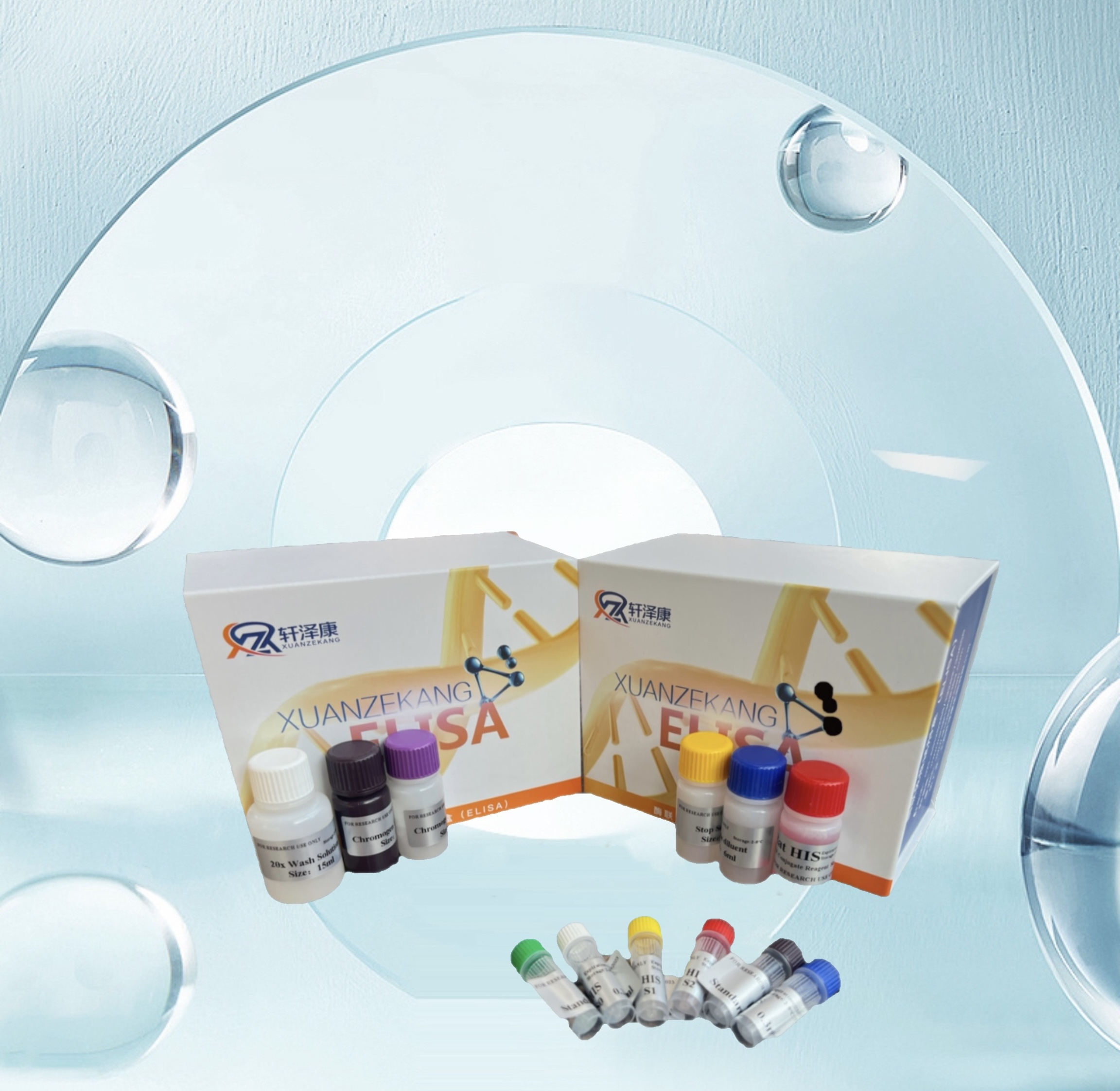 牛胱天蛋白酶-3（Caspase-3）ELISA檢測(cè)試劑盒