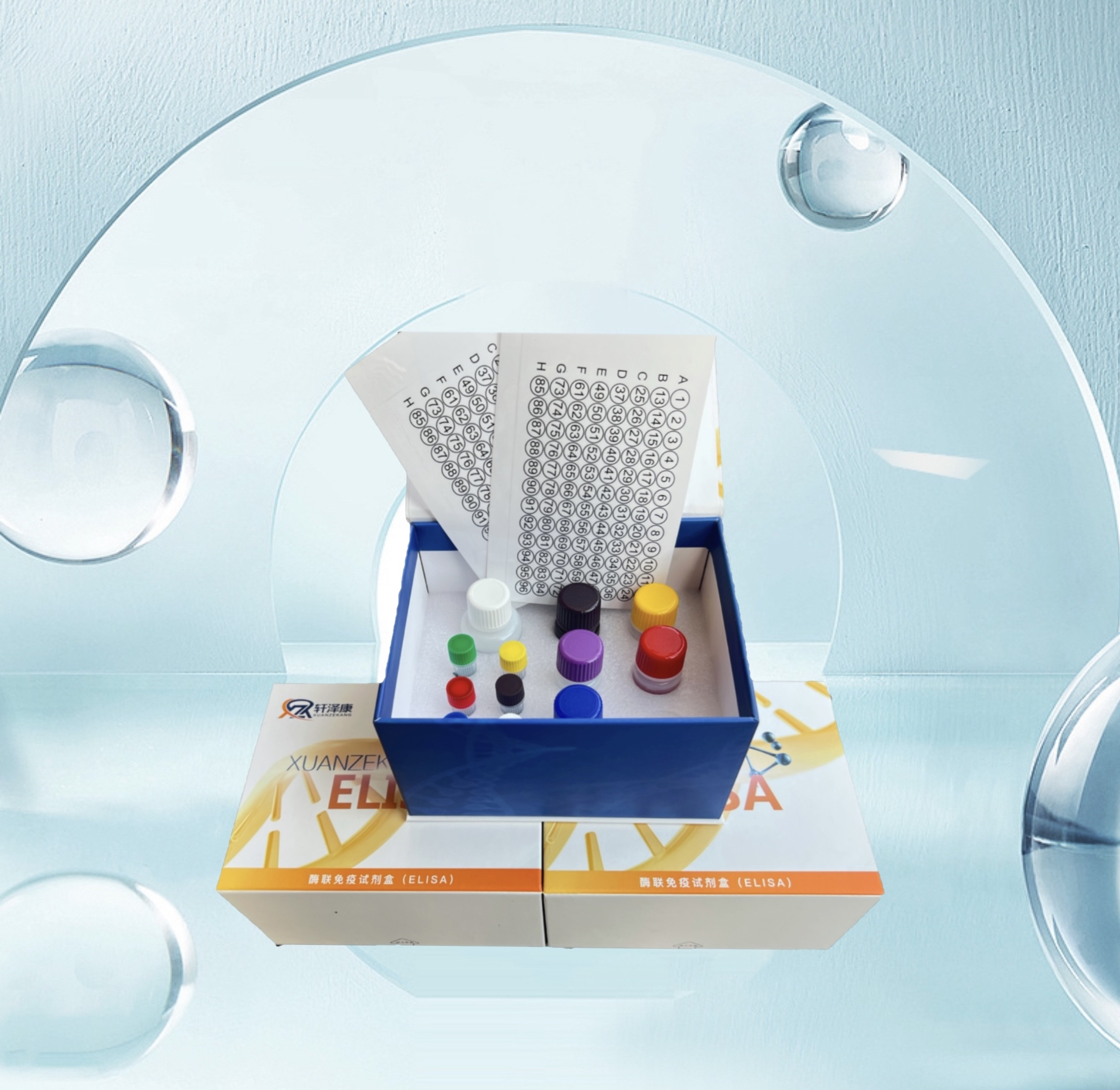 大鼠可溶性血小板內(nèi)皮細胞粘附分子1（sPECAM-1/sCD31）ELISA檢測試劑盒