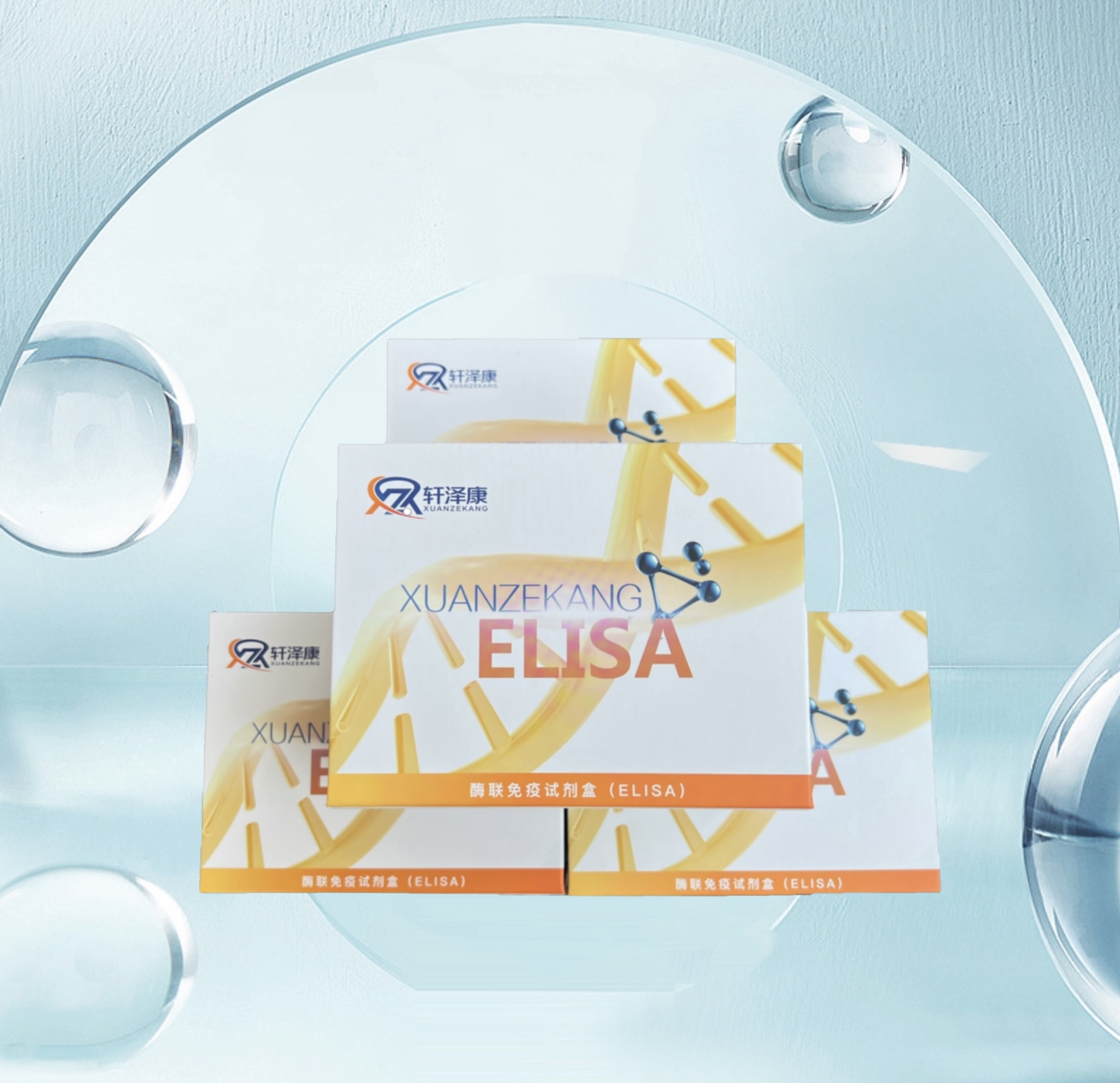 小鼠S100鈣結(jié)合蛋白A9（S100A9）ELISA檢測(cè)試劑盒